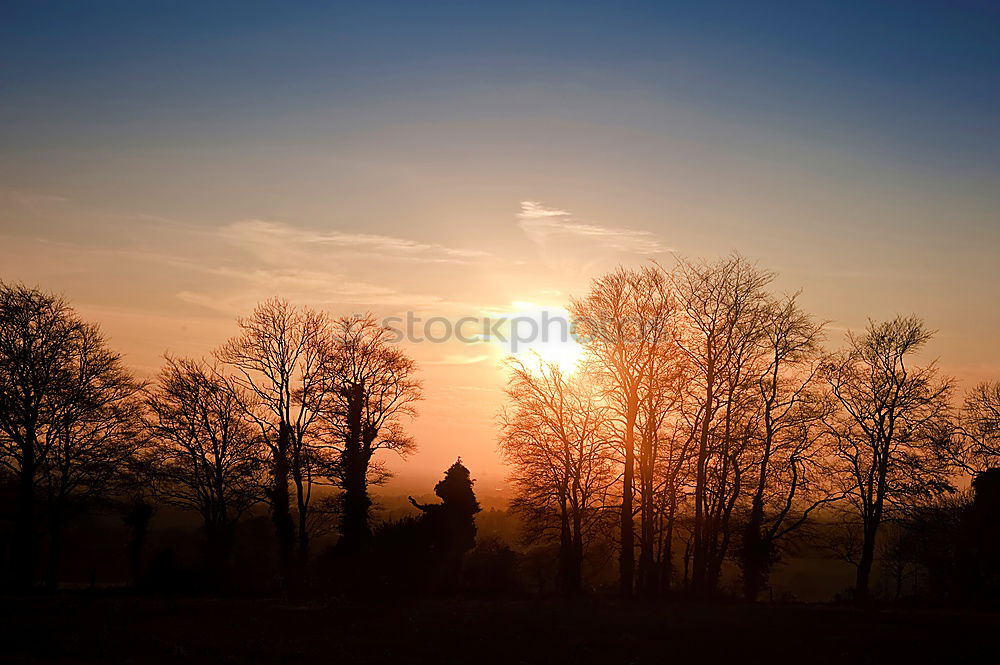 Similar – Image, Stock Photo daybreak Human being