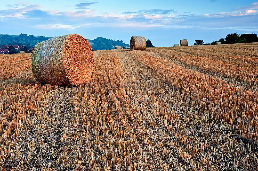 Similar – Image, Stock Photo gold medals Straw