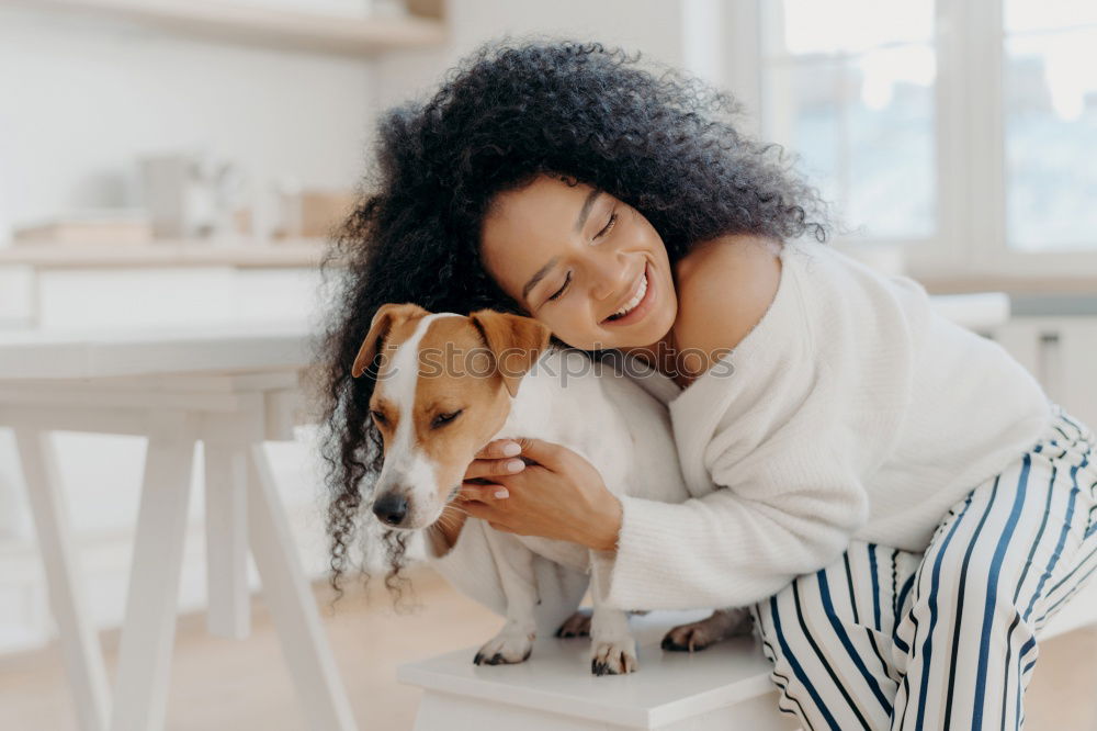 Similar – cute brown toy poodle at home with his owner