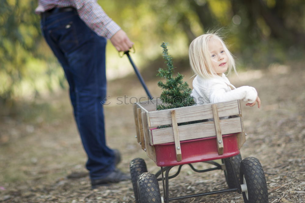 Similar – Child playing with toy tractor on meadow