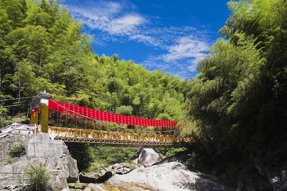 Similar – Image, Stock Photo Demodara Nine-Arches-Bridge near Ella, Sri Lanka