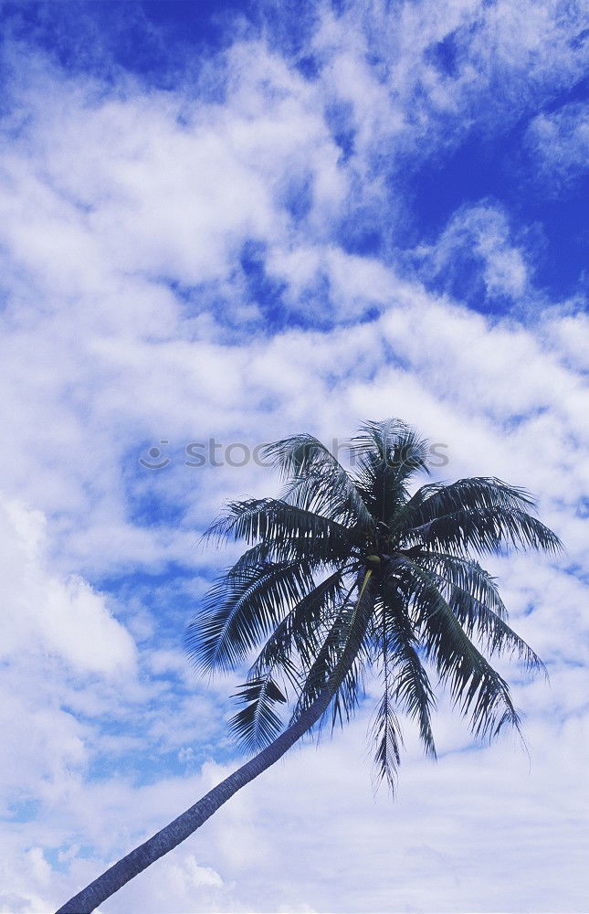 Similar – Foto Bild big blue sky Himmel Sommer