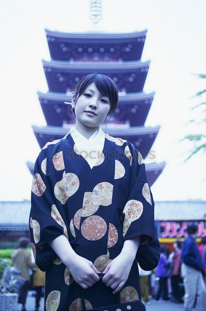 Similar – Image, Stock Photo in front of the pagoda 4/5