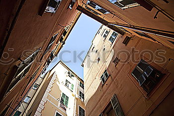 Similar – Image, Stock Photo Genoa Streets II Town