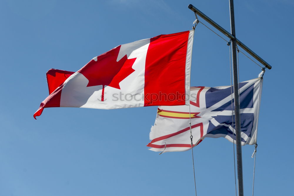 Image, Stock Photo Circling Milan Flag Bird