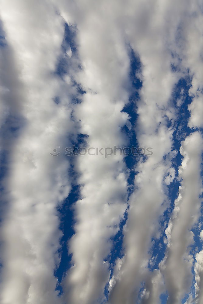 Similar – Image, Stock Photo fluffy baby face