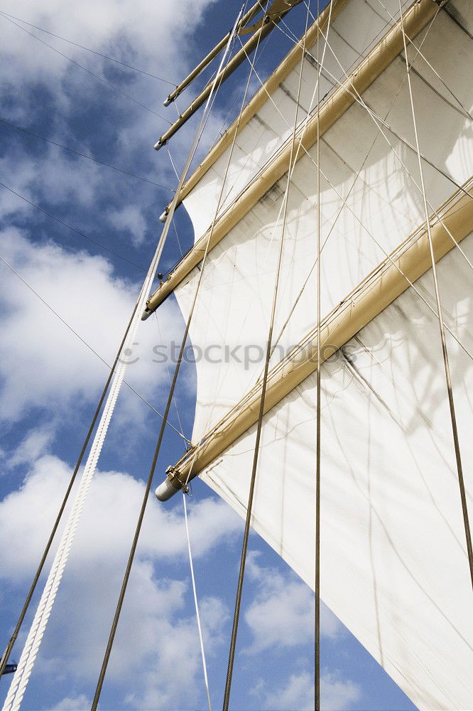 Similar – Image, Stock Photo behind fabric Tent Banana