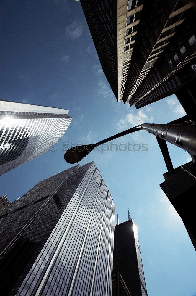 Similar – Image, Stock Photo a bird comes flying Bird