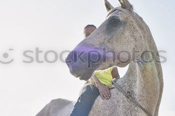 Similar – Image, Stock Photo A horse stands in its own shit