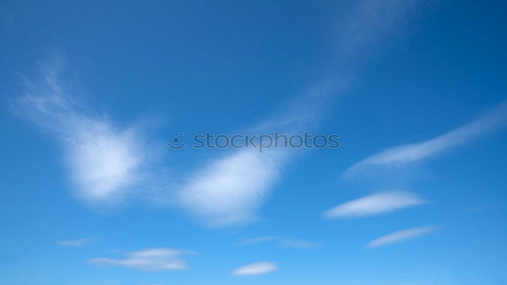 Similar – Foto Bild Drachen sollen fliegen