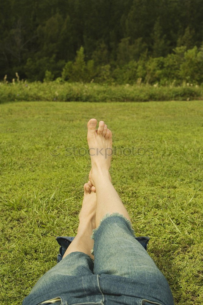 sniffing dog Dog Legs Feet