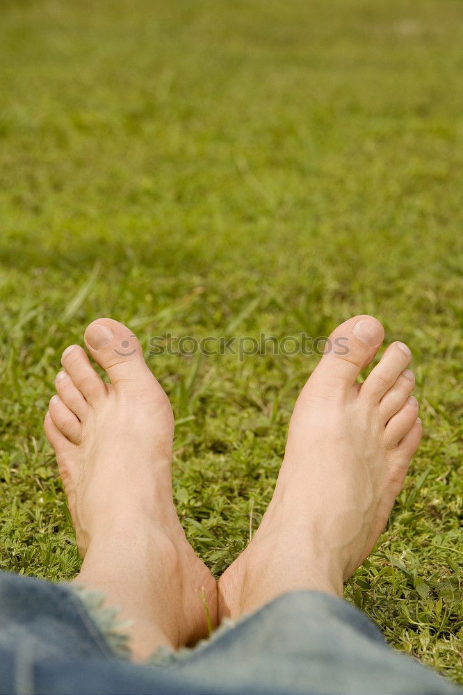 Similar – black-footed meadow Feet