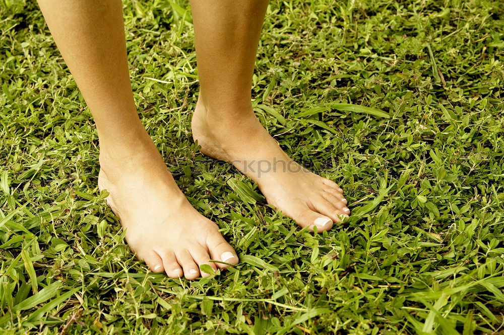 Similar – Image, Stock Photo Naked feet in the great outdoors