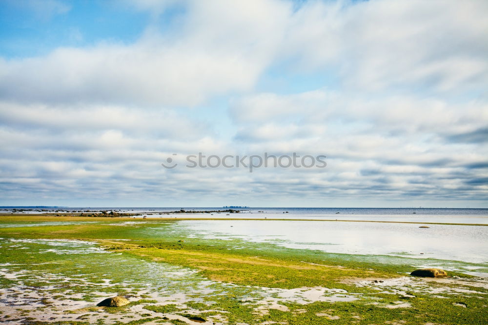 Similar – Image, Stock Photo New Ceremony Environment