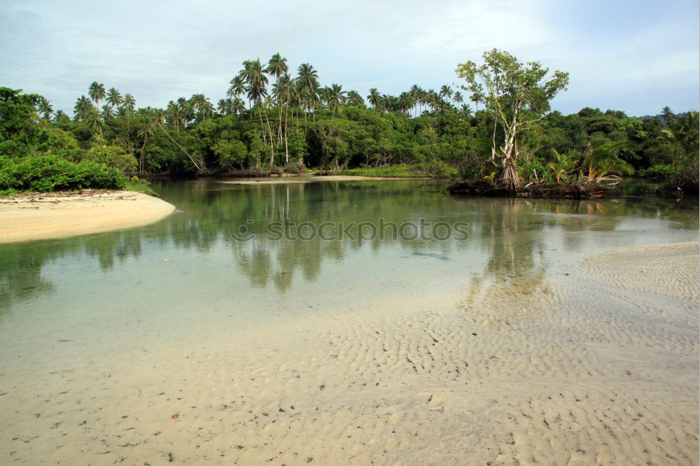 Similar – Kenya Crocodile River