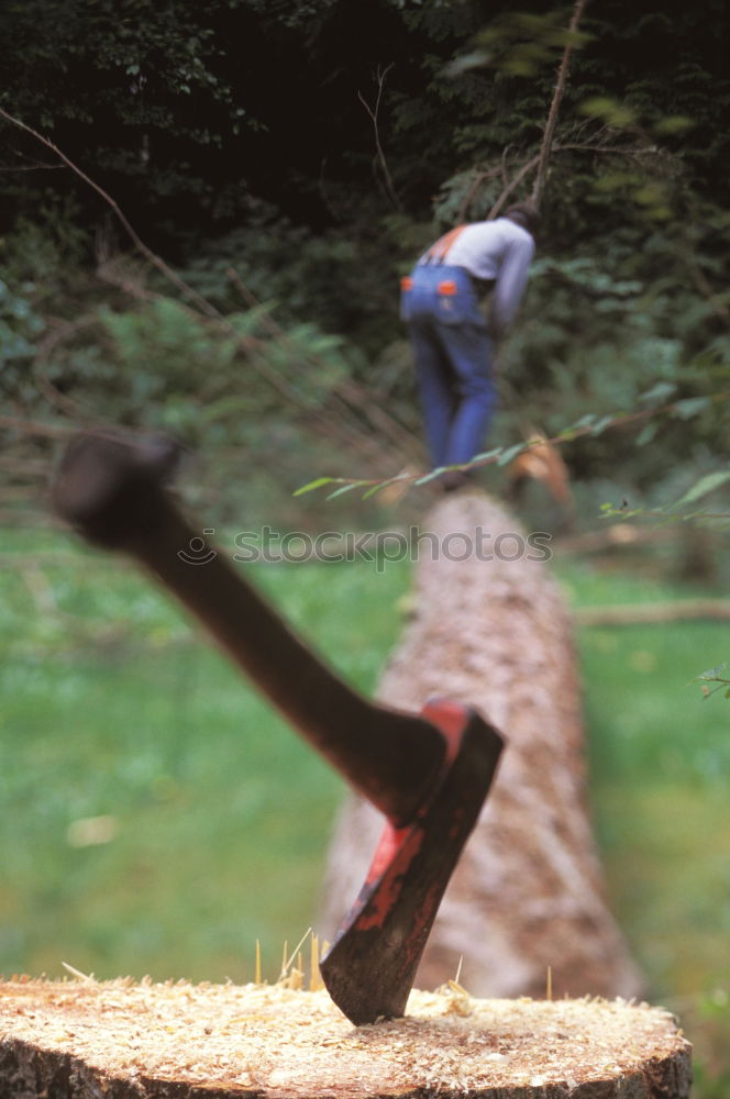 Similar – lumberjacks Wood Tent Tree