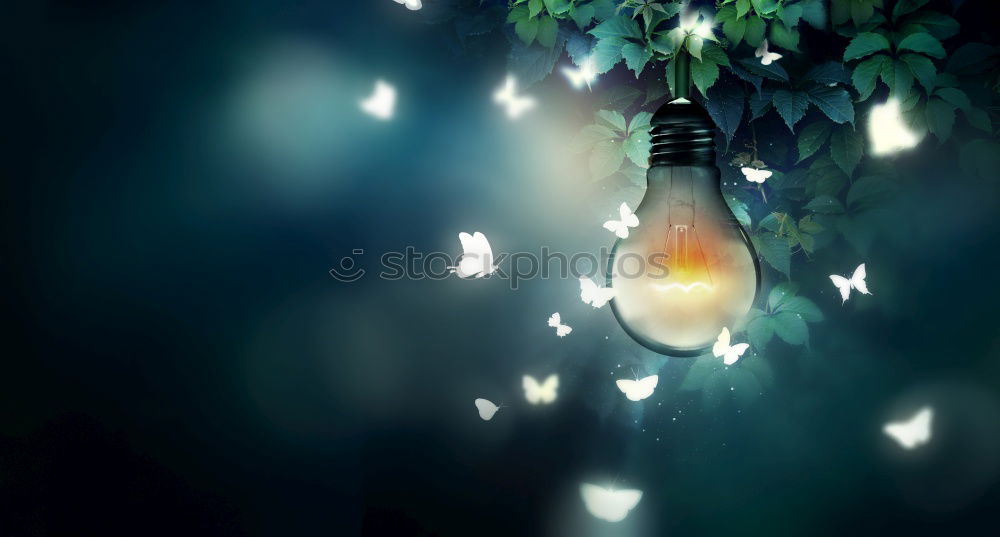 Similar – Image, Stock Photo light chain Fairy lights