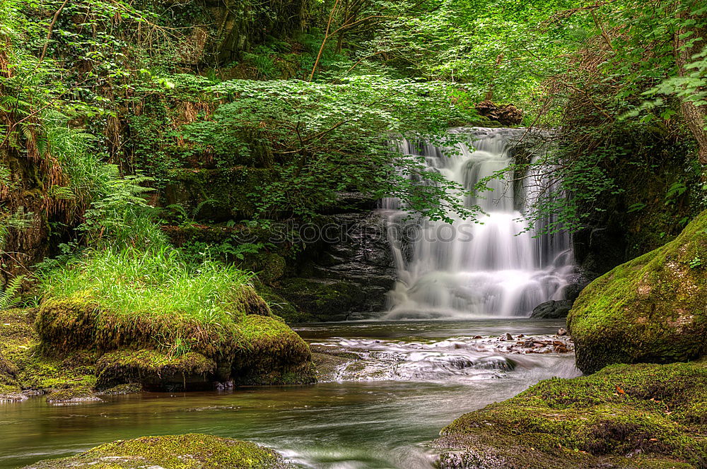 Similar – Foto Bild water falls Natur Pflanze