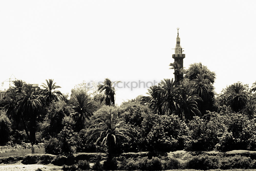 Similar – Image, Stock Photo Berlin Cathedral