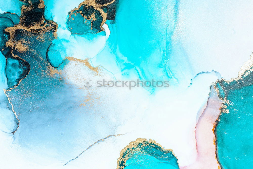 Similar – Image, Stock Photo Autumn flowers and leaves for decoration