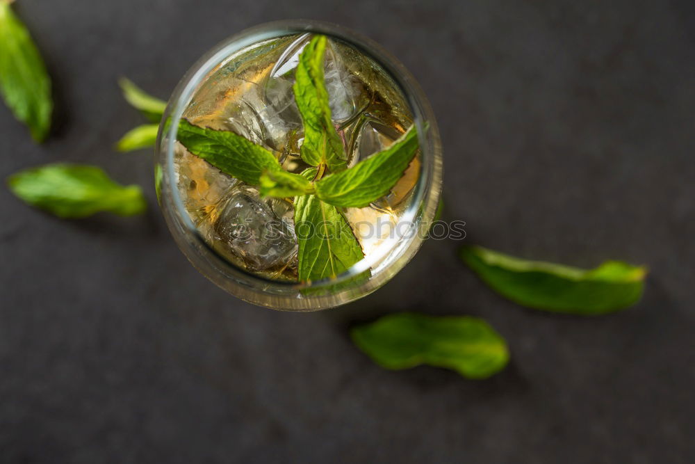 Similar – Image, Stock Photo Cup of sage tea with fresh herbs leaves