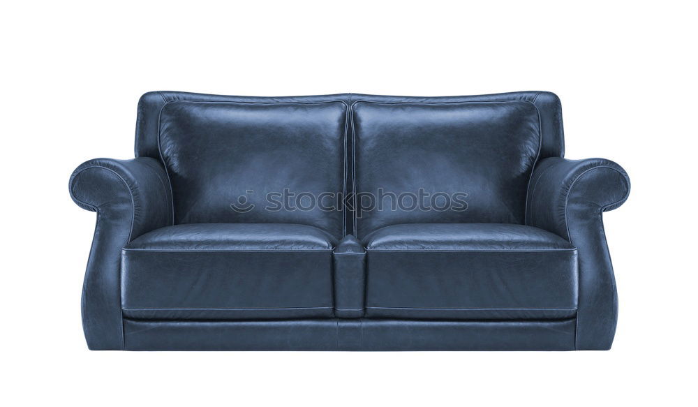 Similar – Image, Stock Photo Freud 2006 Sofa Relaxation