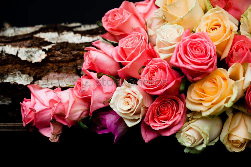 Similar – Image, Stock Photo Flower bouquet. Plant Rose