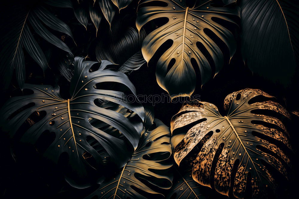 Similar – Image, Stock Photo Fern curve2 Green Plant