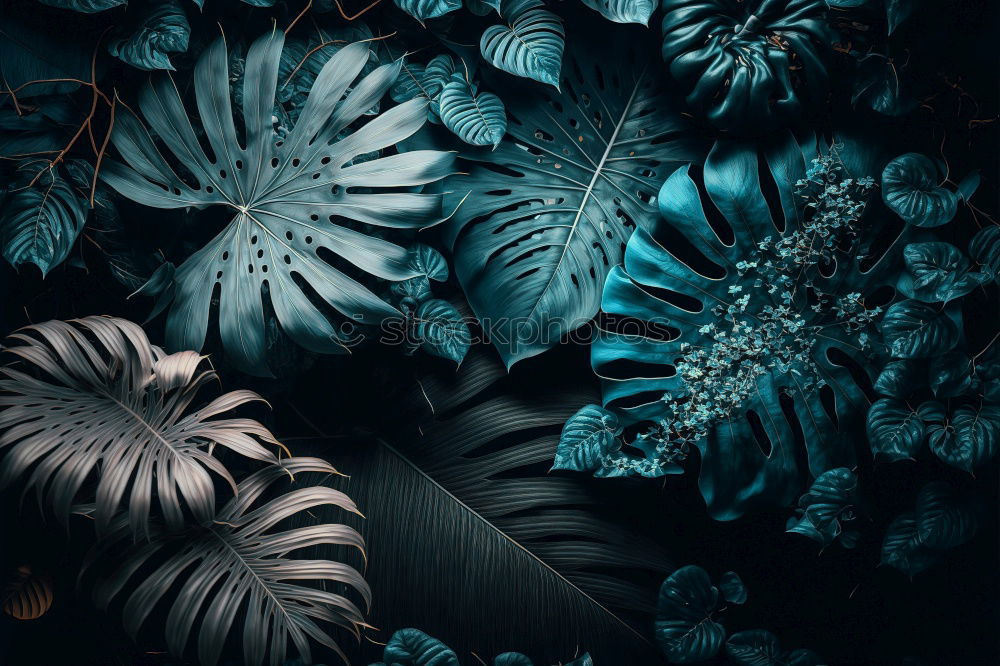 Image, Stock Photo plant leaves texture Plant
