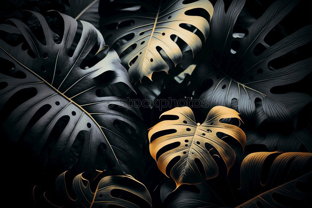 Similar – Image, Stock Photo Fall season.Dry yellow and orange leaves tangled in branches