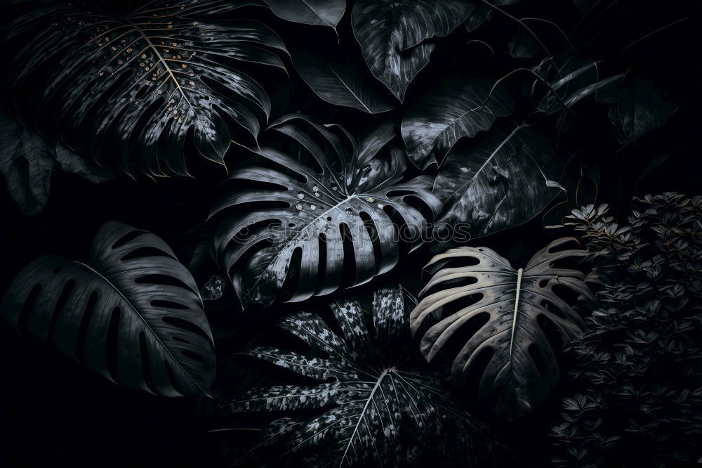 Similar – Image, Stock Photo plant leaves texture Plant