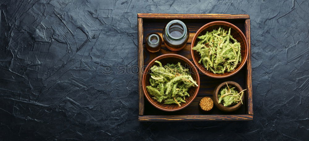 Similar – Image, Stock Photo Green asparagus on baking tray