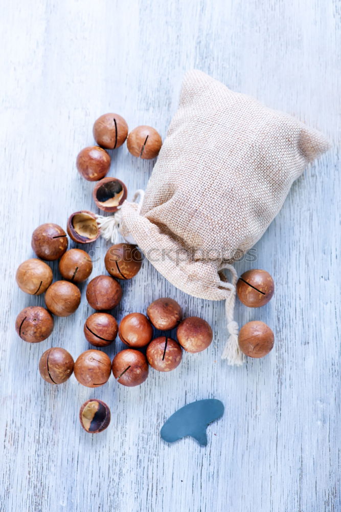 Similar – Image, Stock Photo Fresh mushrooms champignons