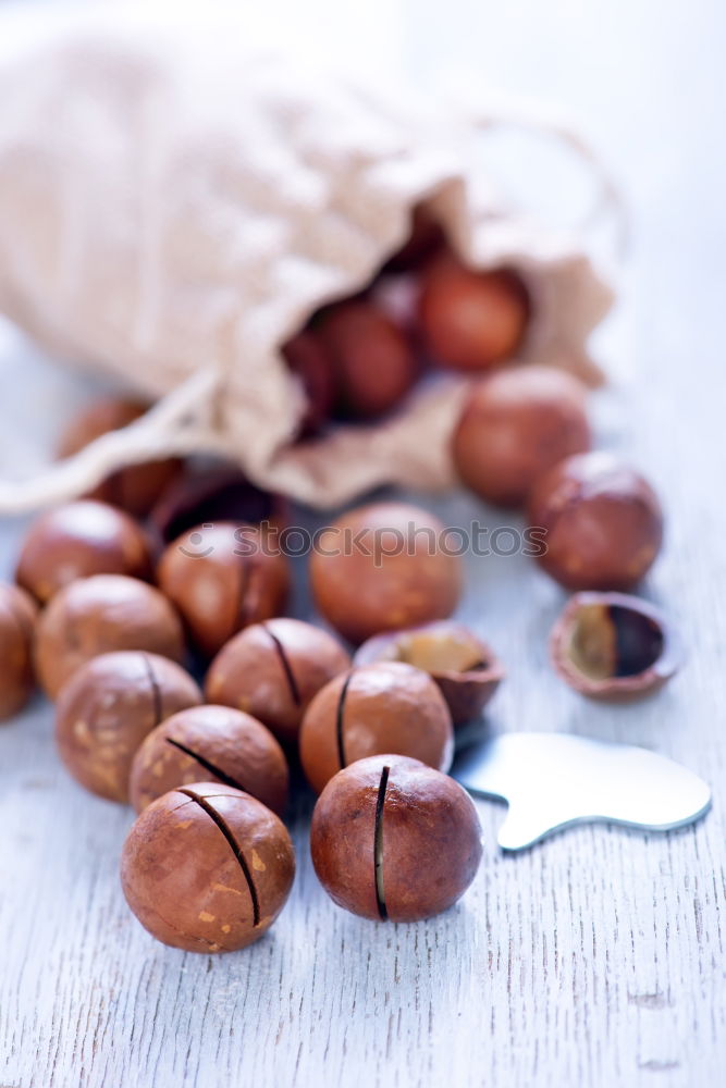 Similar – Image, Stock Photo Fresh mushrooms champignons