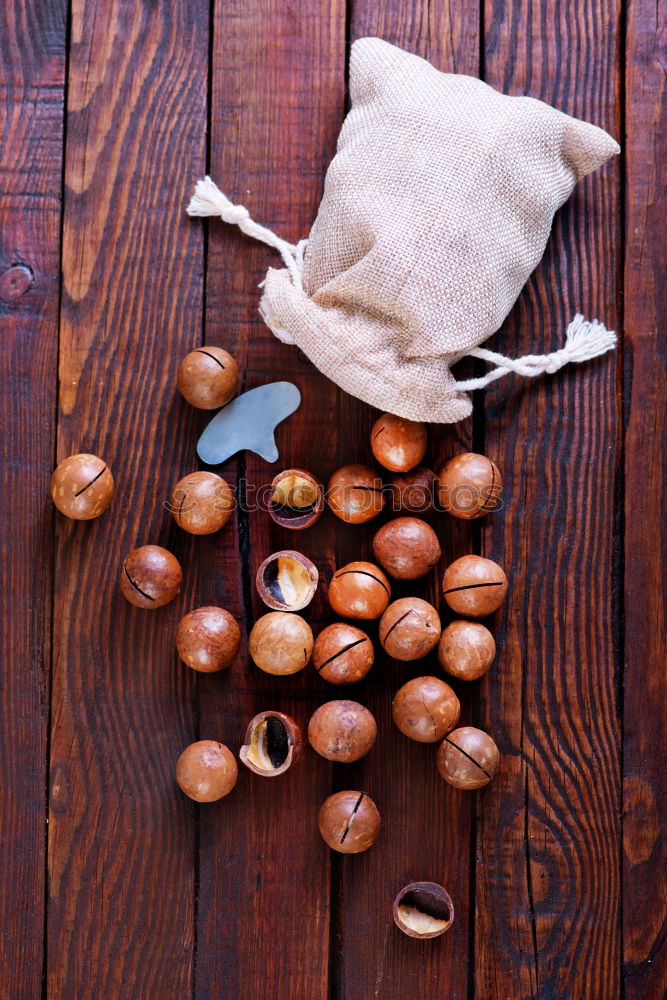 Similar – Image, Stock Photo chestnuts Chestnut tree