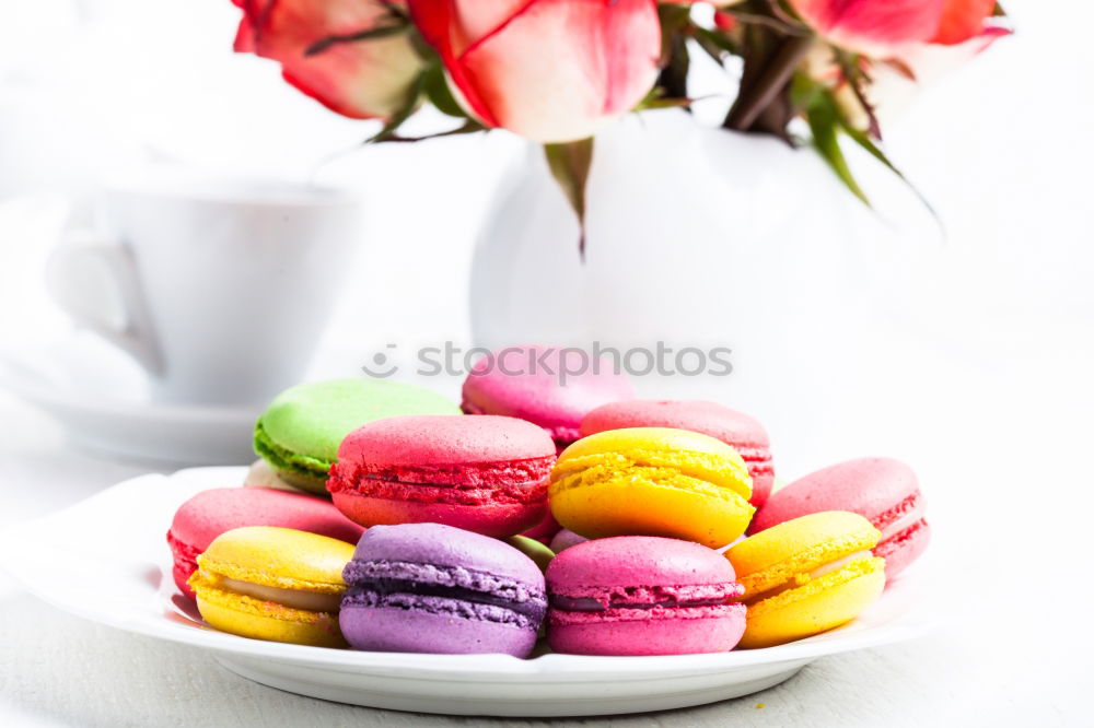 Similar – Multi-colored pastries macarons