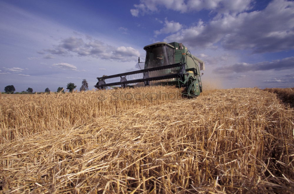 Image, Stock Photo Soon done! Grain harvest