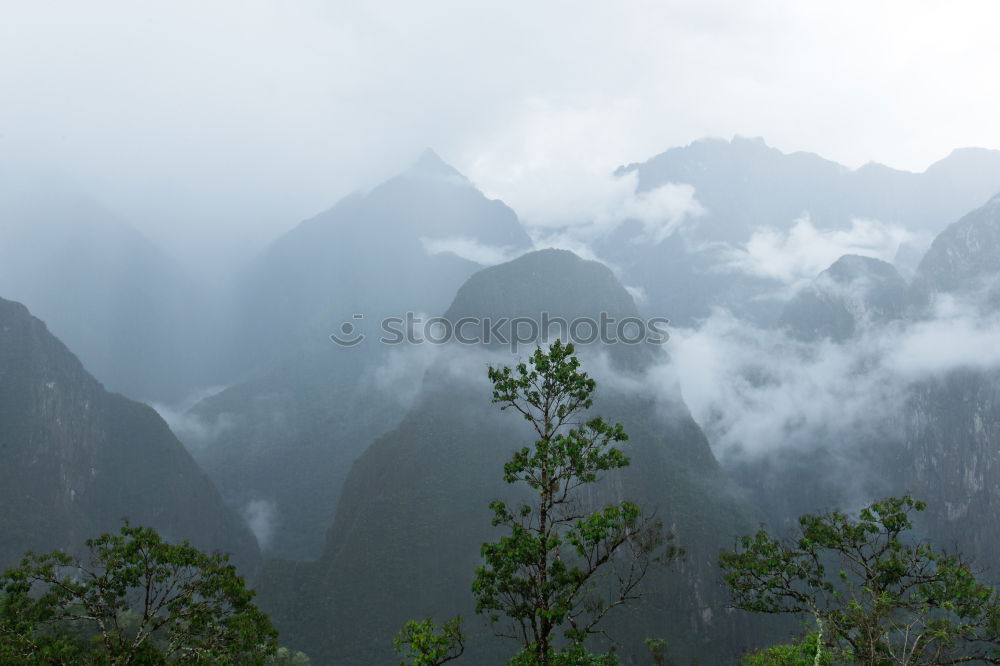 Similar – Image, Stock Photo abysmal Environment Nature