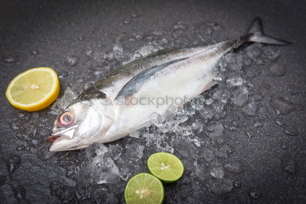 Similar – Image, Stock Photo two whole mackerels Fish