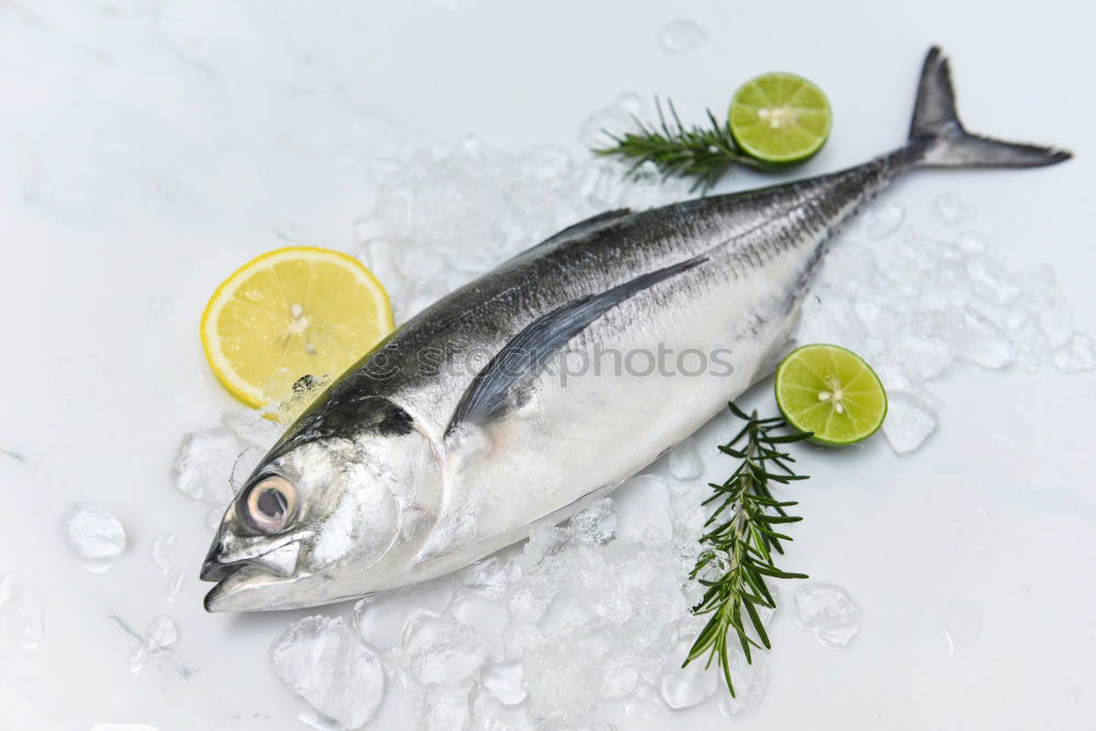 Similar – Image, Stock Photo Raw salmon fish in ice and vegetables