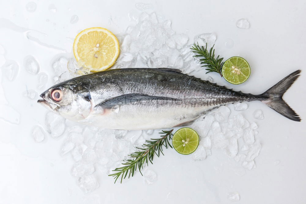 Dorado fish raw with spices