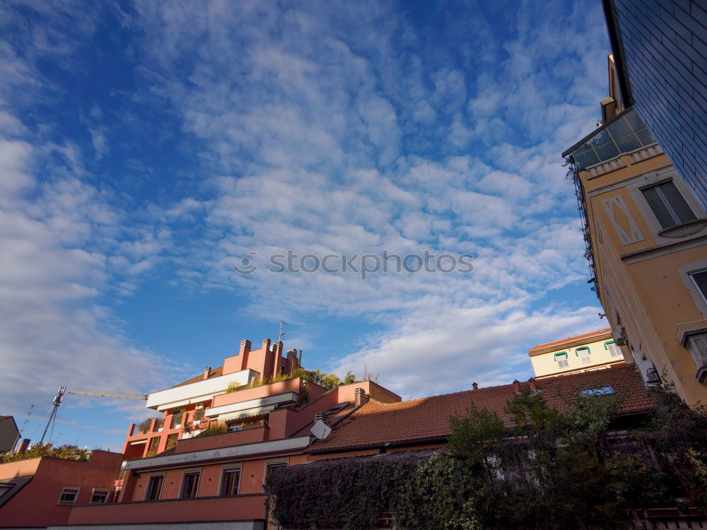 Similar – Image, Stock Photo Green Green Green Tourism