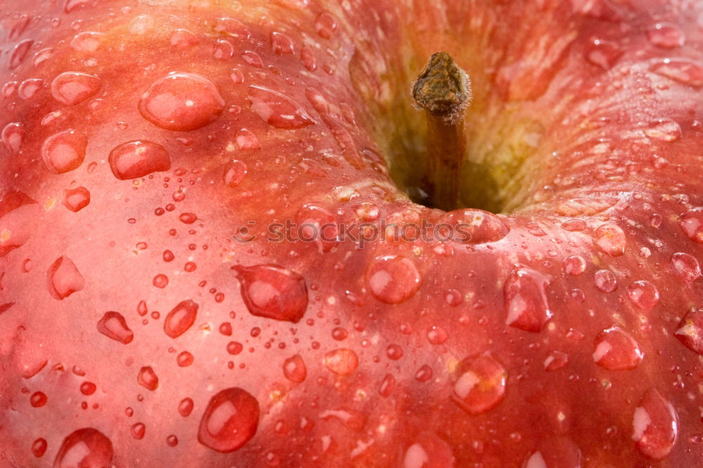 Similar – Strawberry III Food Fruit