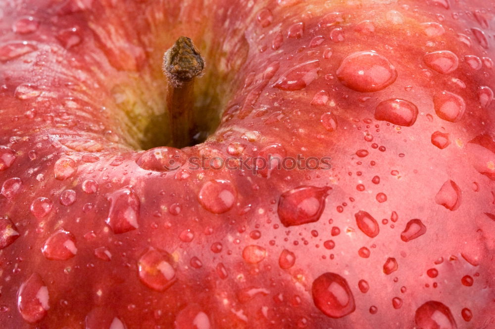 Similar – Strawberry III Food Fruit