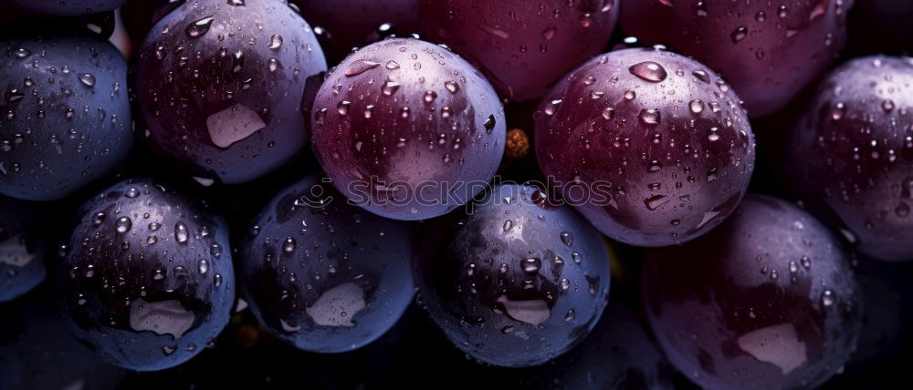 Similar – Image, Stock Photo Berries put on ice (and left in freezer)