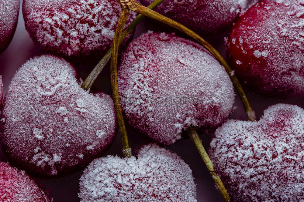 Image, Stock Photo Frozen cherries Food Fruit