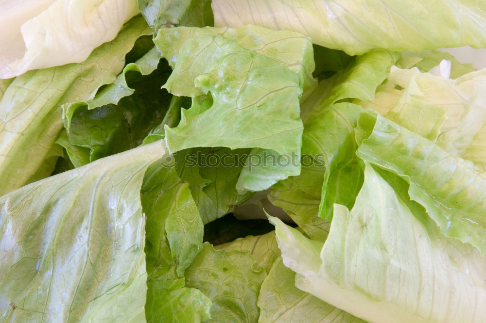 Similar – Cabbage 2 Leaf