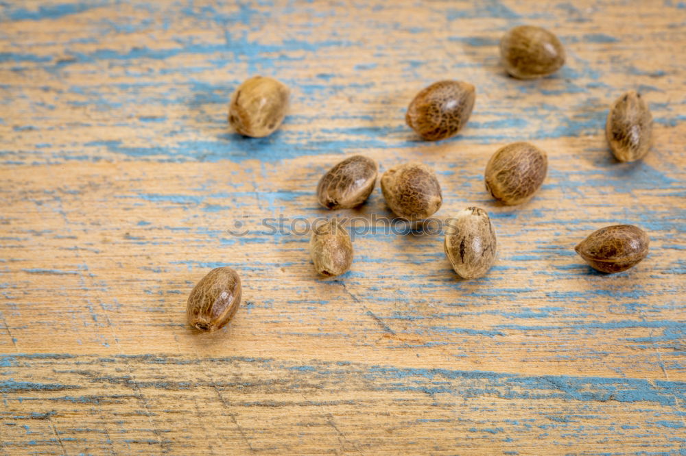 Image, Stock Photo Coriander, mixed up Food