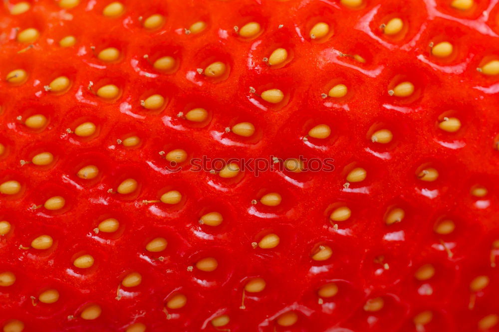 Similar – red strawberry very close