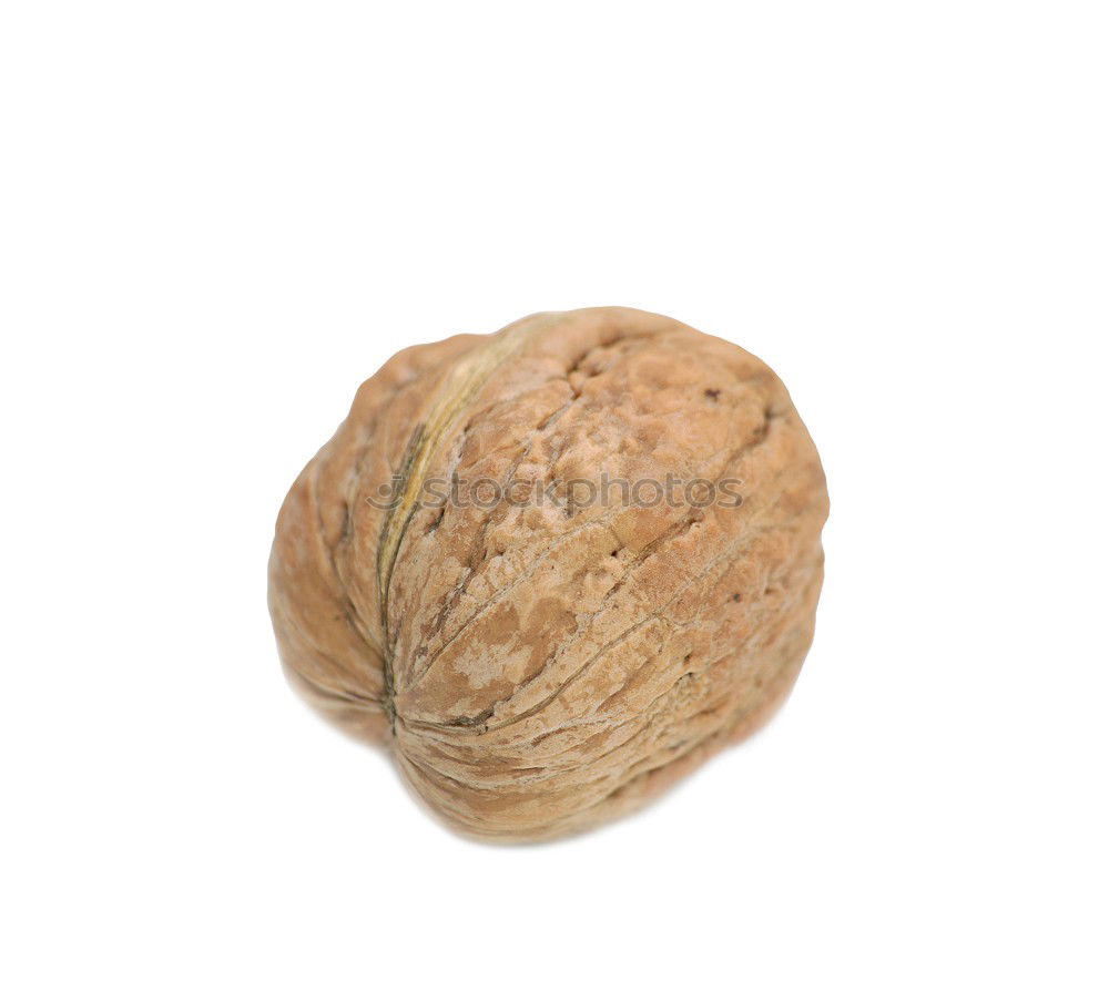 Similar – walnuts Food Nut Walnut